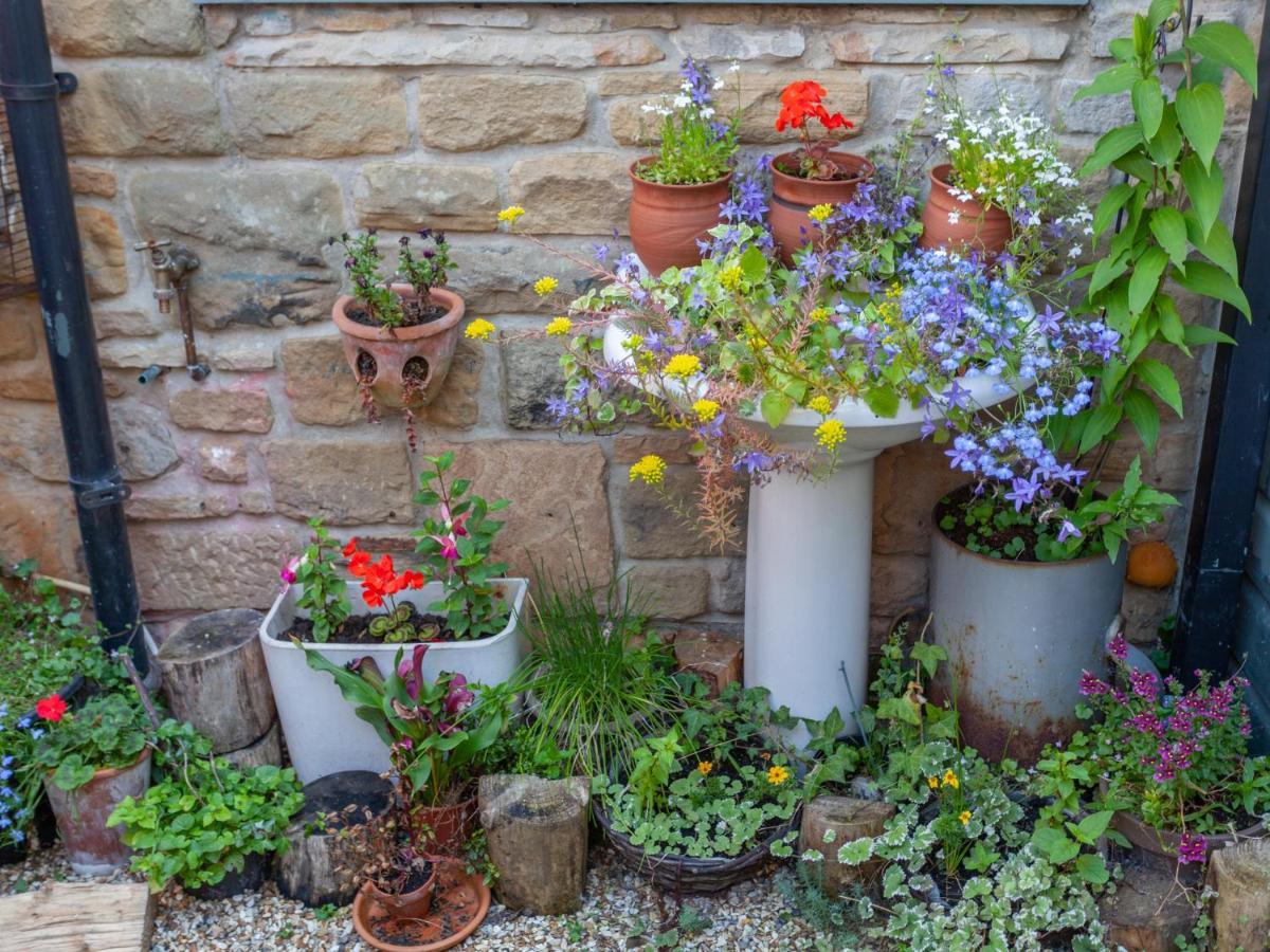 Shaftoe'S Bed And Breakfast Haydon Bridge Εξωτερικό φωτογραφία